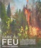 forest fire